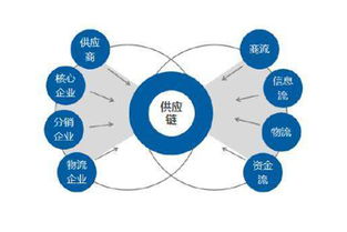 陈晓亮 供应链管理必须做好的三大关键要点